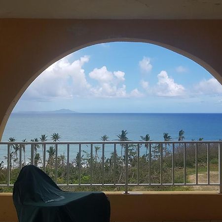 Beautiful View From The Terrace Hotel Humacao Kültér fotó